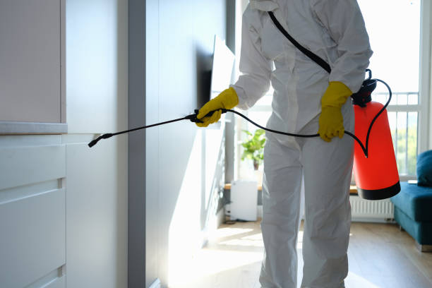Certified Mold Removal in West Cape May, NJ